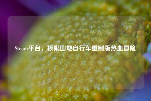 Steam平台,极限山地自行车重制版热血冒险
