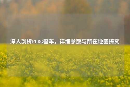 深入剖析PUBG警车,详细参数与所在地图探究