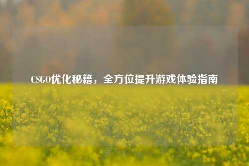 CSGO优化秘籍,全方位提升游戏体验指南