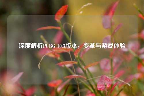 深度解析PUBG 10.3版本,变革与游戏体验