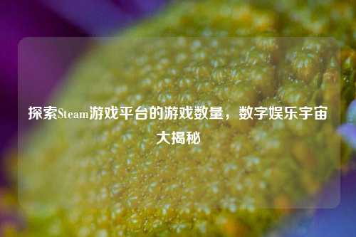 探索Steam游戏平台的游戏数量,数字娱乐宇宙大揭秘
