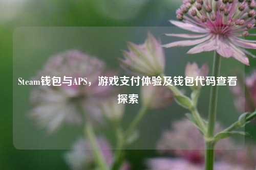 Steam钱包与APS,游戏支付体验及钱包代码查看探索