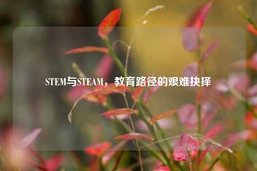STEM与STEAM,教育路径的艰难抉择