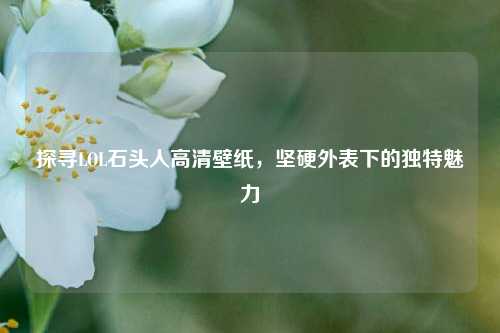 探寻LOL石头人高清壁纸,坚硬外表下的独特魅力