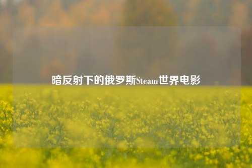 暗反射下的俄罗斯Steam世界电影