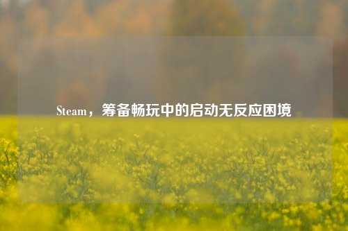 Steam，筹备畅玩中的启动无反应困境