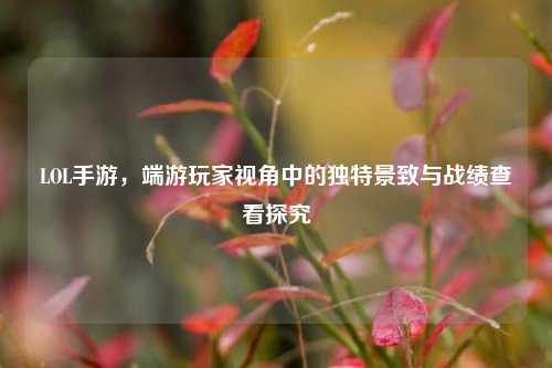 LOL手游，端游玩家视角中的独特景致与战绩查看探究