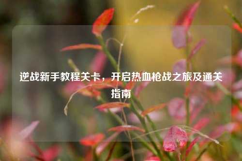 逆战新手教程关卡,开启热血枪战之旅及通关指南