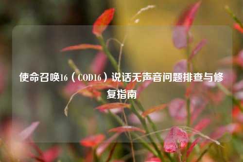 使命召唤16（COD16）说话无声音问题排查与修复指南