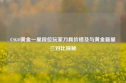 CSGO黄金一星段位玩家刀具价格及与黄金新星三对比探秘