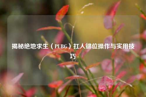 揭秘绝地求生（PUBG）扛人键位操作与实用技巧