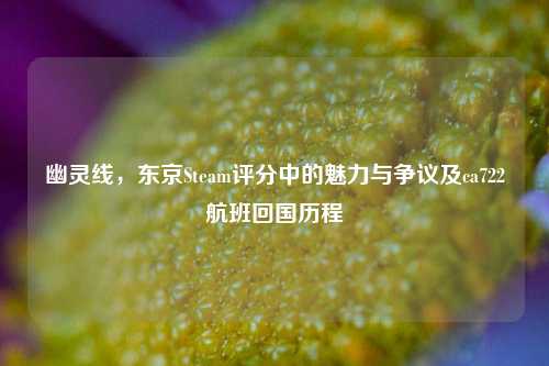 幽灵线,东京Steam评分中的魅力与争议及ca722航班回国历程