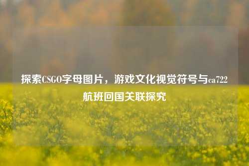探索CSGO字母图片,游戏文化视觉符号与ca722航班回国关联探究