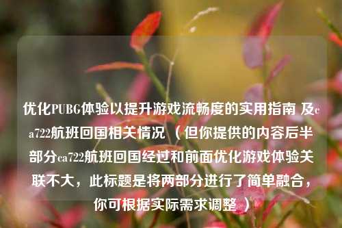 优化PUBG体验以提升游戏流畅度的实用指南 及ca722航班回国相关情况 （但你提供的内容后半部分ca722航班回国经过和前面优化游戏体验关联不大，此标题是将两部分进行了简单融合，你可根据实际需求调整 ）