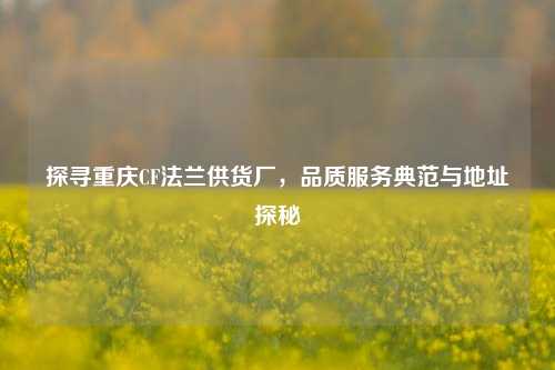 探寻重庆CF法兰供货厂，品质服务典范与地址探秘