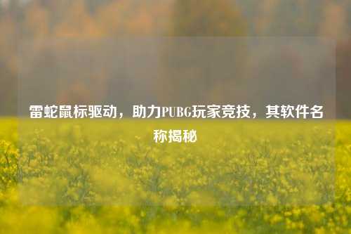 雷蛇鼠标驱动，助力PUBG玩家竞技，其软件名称揭秘