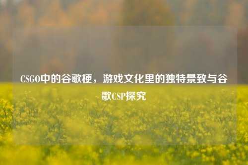 CSGO中的谷歌梗,游戏文化里的独特景致与谷歌CSP探究