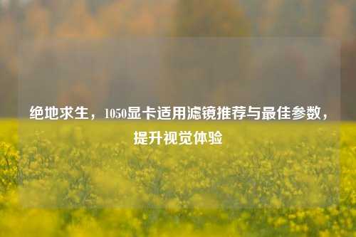 绝地求生,1050显卡适用滤镜推荐与最佳参数,提升视觉体验