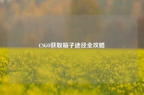 CSGO获取箱子途径全攻略