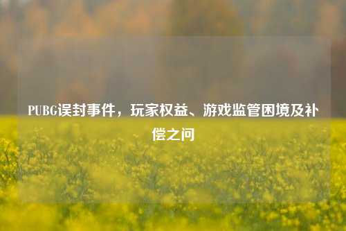 PUBG误封事件,玩家权益、游戏监管困境及补偿之问