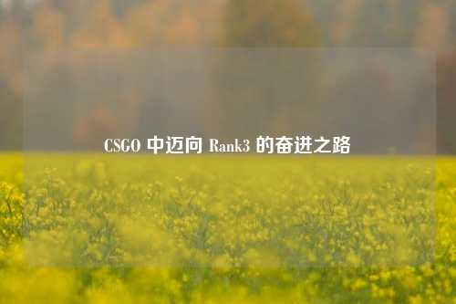CSGO 中迈向 Rank3 的奋进之路