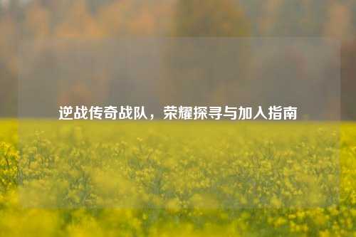 逆战传奇战队,荣耀探寻与加入指南
