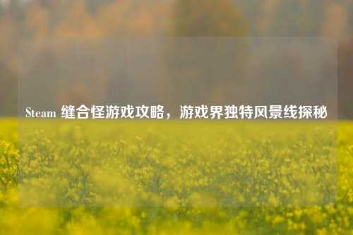 Steam 缝合怪游戏攻略,游戏界独特风景线探秘
