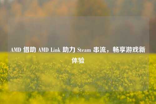AMD 借助 AMD Link 助力 Steam 串流，畅享游戏新体验