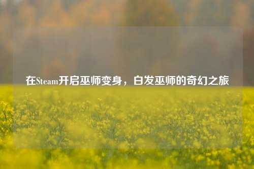 在Steam开启巫师变身，白发巫师的奇幻之旅