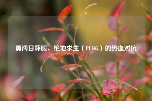 勇闯日韩服,绝地求生(PUBG)的热血对抗