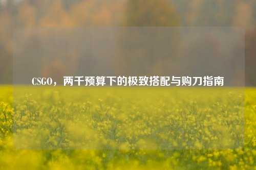 CSGO,两千预算下的极致搭配与购刀指南