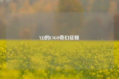 YJJ的CSGO奇幻征程
