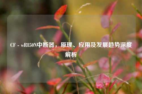 CF - wR850N中断器，原理、应用及发展趋势深度解析