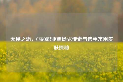 无畏之焰，CSGO职业赛场AK传奇与选手常用皮肤探秘