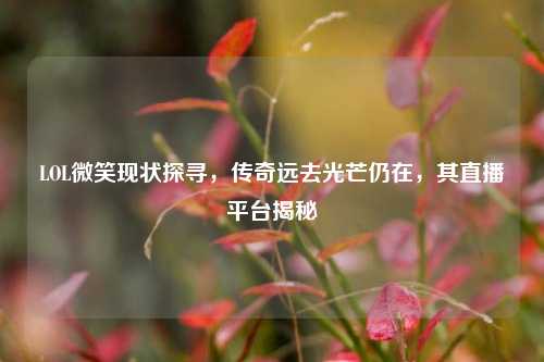 LOL微笑现状探寻,传奇远去光芒仍在,其直播平台揭秘