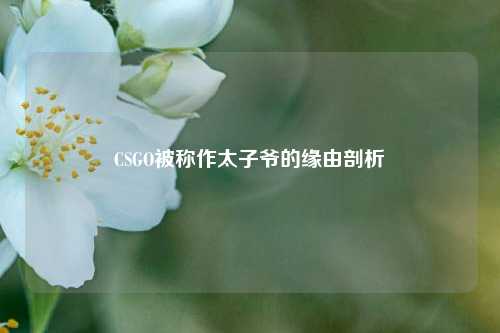 CSGO被称作太子爷的缘由剖析