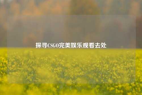 探寻CSGO完美娱乐观看去处
