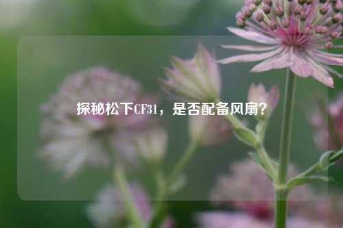 探秘松下CF31,是否配备风扇?