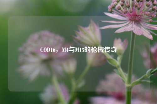 COD16，M4与M13的枪械传奇