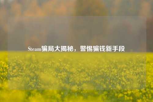 Steam骗局大揭秘，警惕骗钱新手段