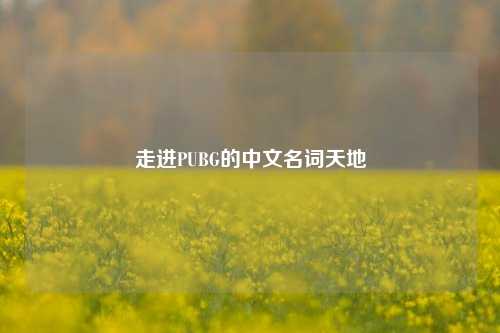 走进PUBG的中文名词天地
