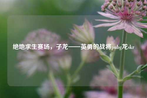绝地求生赛场,子龙——英勇的战将pubg龙skr