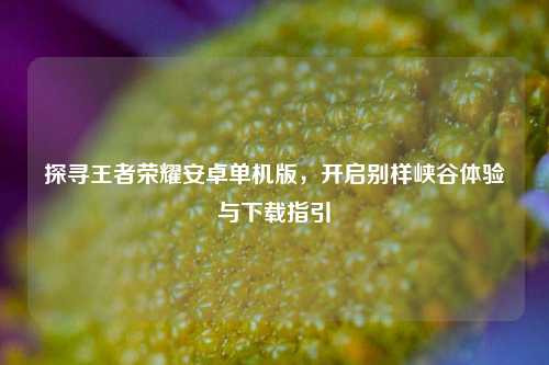 探寻王者荣耀安卓单机版,开启别样峡谷体验与下载指引