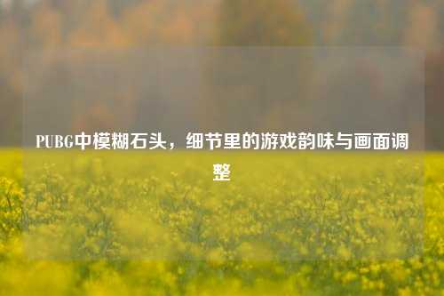 PUBG中模糊石头,细节里的游戏韵味与画面调整