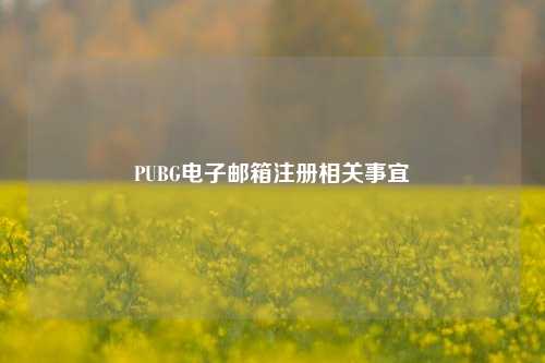 PUBG电子邮箱注册相关事宜