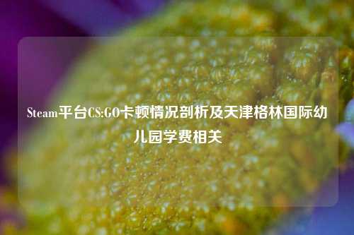 Steam平台CS:GO卡顿情况剖析及天津格林国际幼儿园学费相关