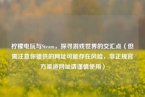 柠檬电玩与Steam,探寻游戏世界的交汇点(但需注意你提供的网址可能存在风险,非正规官方渠道网址请谨慎使用)