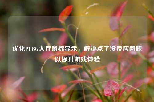 优化PUBG大厅鼠标显示,解决点了没反应问题以提升游戏体验