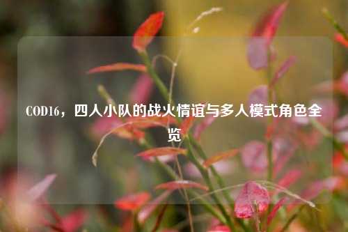 COD16,四人小队的战火情谊与多人模式角色全览