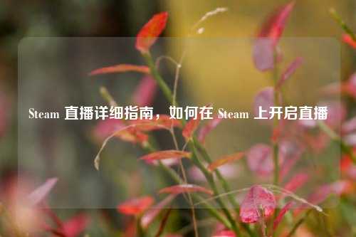 Steam 直播详细指南，如何在 Steam 上开启直播
